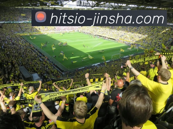 澳门金沙官网APP 封面图